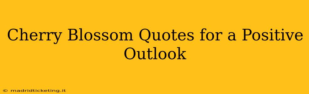Cherry Blossom Quotes for a Positive Outlook