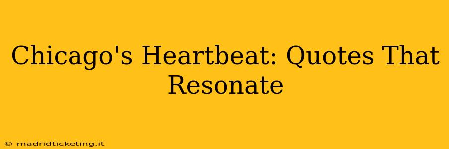 Chicago's Heartbeat: Quotes That Resonate