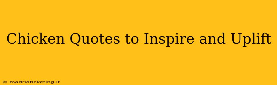 Chicken Quotes to Inspire and Uplift
