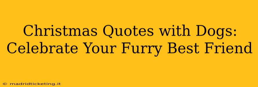 Christmas Quotes with Dogs: Celebrate Your Furry Best Friend
