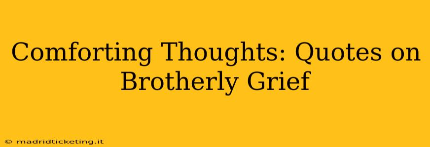 Comforting Thoughts: Quotes on Brotherly Grief