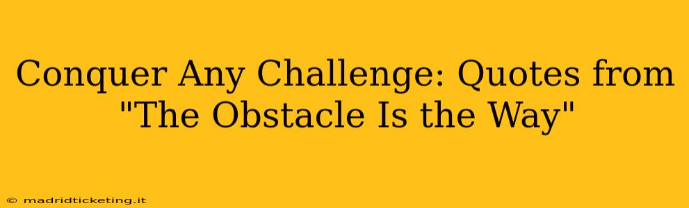 Conquer Any Challenge: Quotes from "The Obstacle Is the Way"
