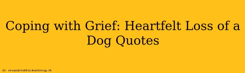 Coping with Grief: Heartfelt Loss of a Dog Quotes