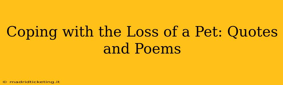 Coping with the Loss of a Pet: Quotes and Poems