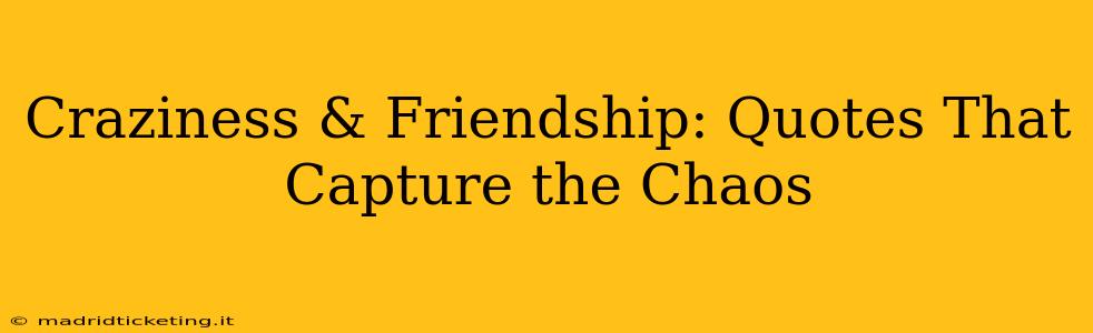 Craziness & Friendship: Quotes That Capture the Chaos