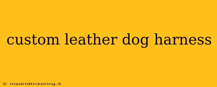 custom leather dog harness