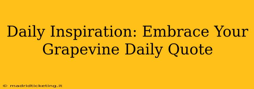 Daily Inspiration: Embrace Your Grapevine Daily Quote