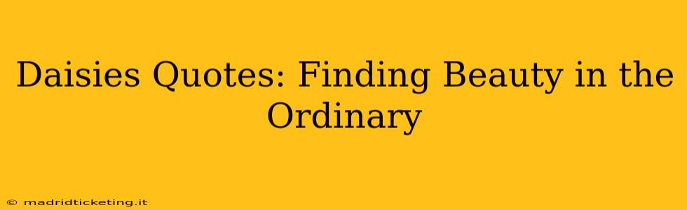 Daisies Quotes: Finding Beauty in the Ordinary