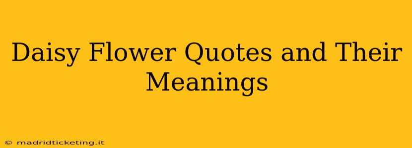Daisy Flower Quotes and Their Meanings