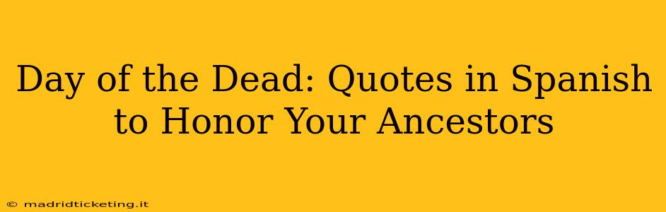 Day of the Dead: Quotes in Spanish to Honor Your Ancestors