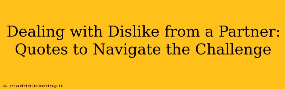 Dealing with Dislike from a Partner: Quotes to Navigate the Challenge
