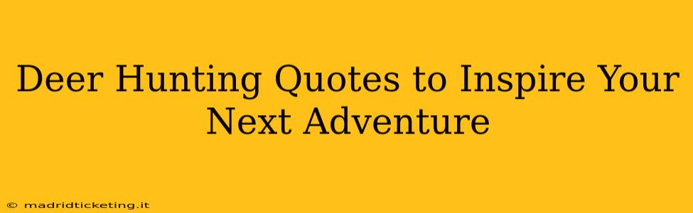 Deer Hunting Quotes to Inspire Your Next Adventure