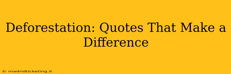 Deforestation: Quotes That Make a Difference