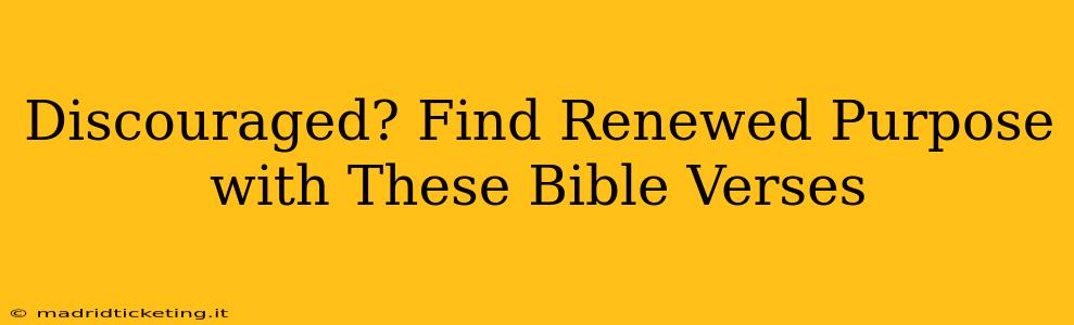 Discouraged? Find Renewed Purpose with These Bible Verses