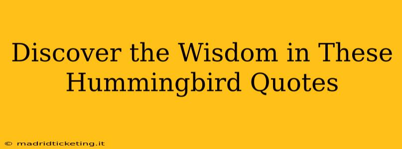 Discover the Wisdom in These Hummingbird Quotes