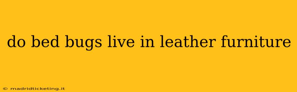 do bed bugs live in leather furniture