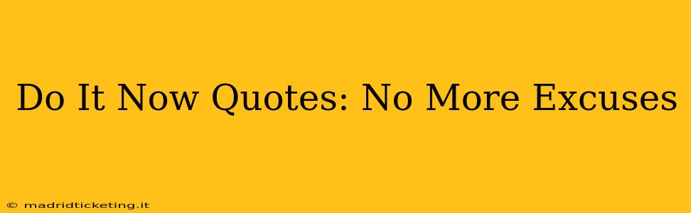 Do It Now Quotes: No More Excuses