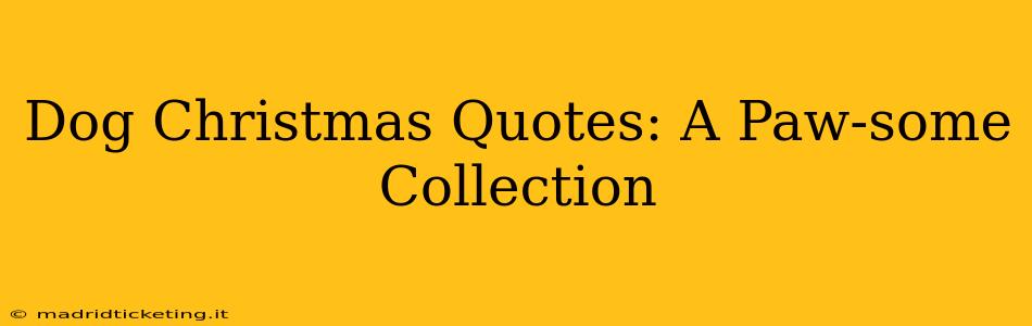 Dog Christmas Quotes: A Paw-some Collection