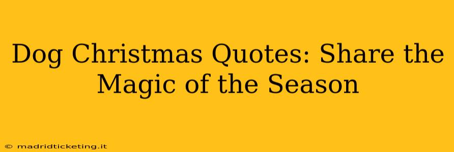 Dog Christmas Quotes: Share the Magic of the Season