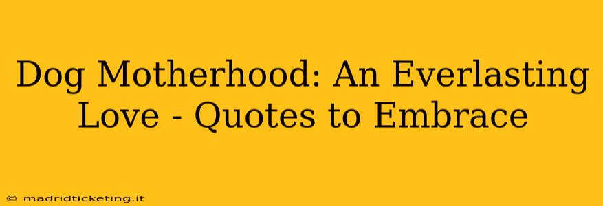Dog Motherhood: An Everlasting Love - Quotes to Embrace