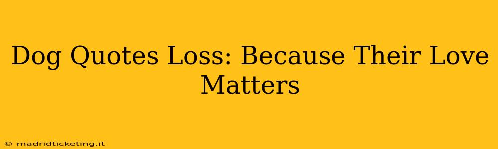 Dog Quotes Loss: Because Their Love Matters