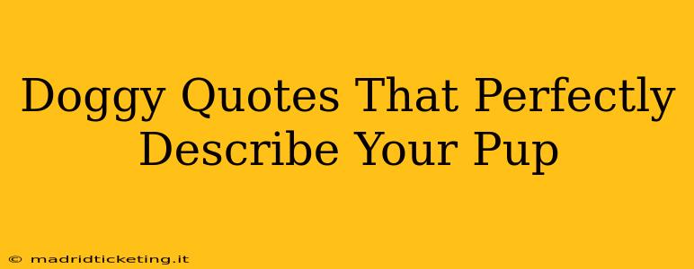 Doggy Quotes That Perfectly Describe Your Pup