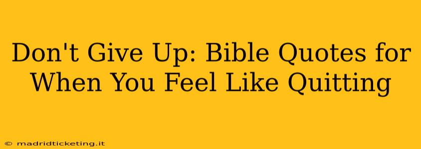 Don't Give Up: Bible Quotes for When You Feel Like Quitting