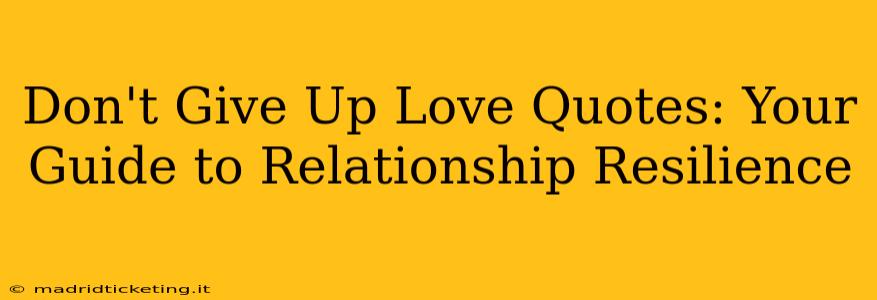 Don't Give Up Love Quotes: Your Guide to Relationship Resilience