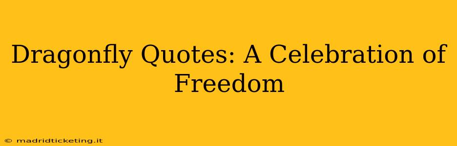 Dragonfly Quotes: A Celebration of Freedom
