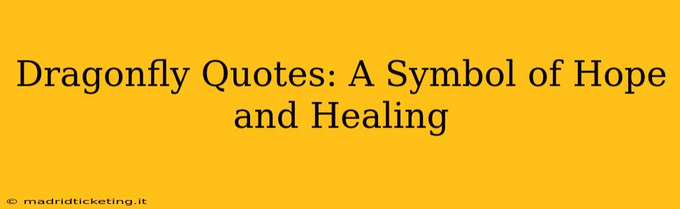 Dragonfly Quotes: A Symbol of Hope and Healing