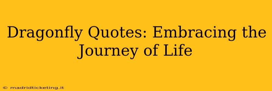 Dragonfly Quotes: Embracing the Journey of Life