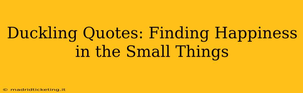 Duckling Quotes: Finding Happiness in the Small Things