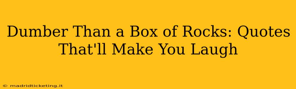 Dumber Than a Box of Rocks: Quotes That'll Make You Laugh