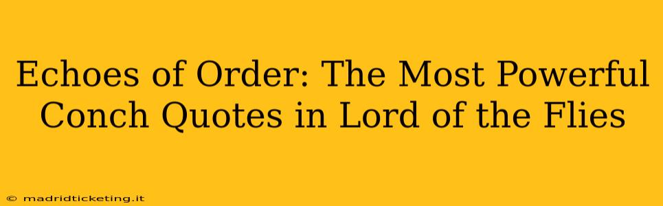 Echoes of Order: The Most Powerful Conch Quotes in Lord of the Flies
