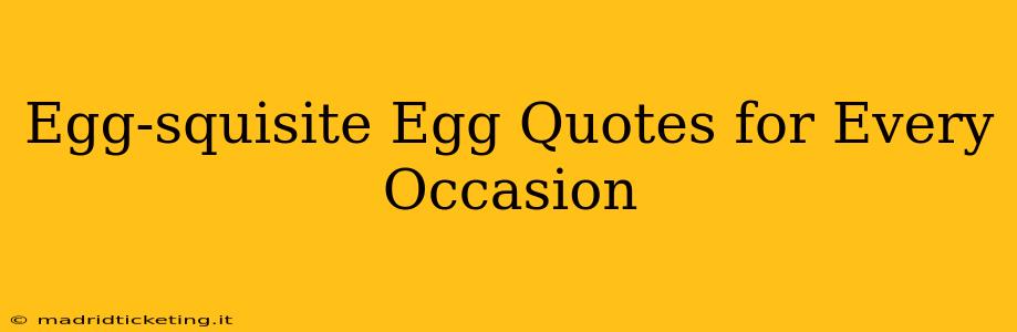 Egg-squisite Egg Quotes for Every Occasion