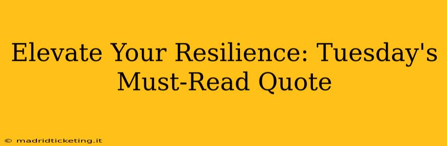 Elevate Your Resilience: Tuesday's Must-Read Quote