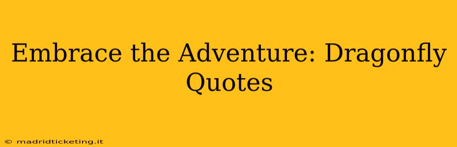 Embrace the Adventure: Dragonfly Quotes
