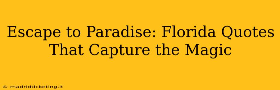 Escape to Paradise: Florida Quotes That Capture the Magic
