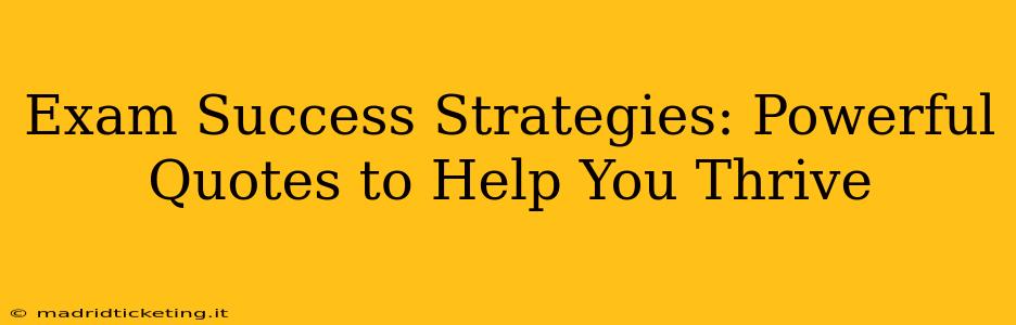 Exam Success Strategies: Powerful Quotes to Help You Thrive