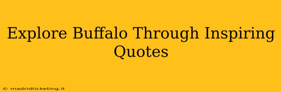Explore Buffalo Through Inspiring Quotes