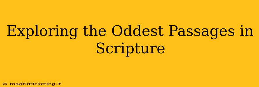 Exploring the Oddest Passages in Scripture