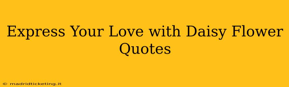 Express Your Love with Daisy Flower Quotes