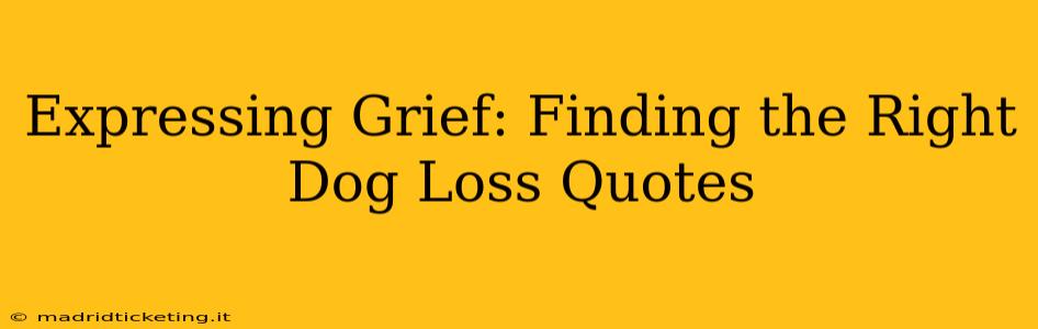Expressing Grief: Finding the Right Dog Loss Quotes