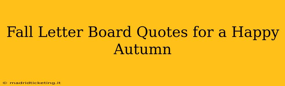 Fall Letter Board Quotes for a Happy Autumn