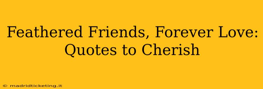 Feathered Friends, Forever Love: Quotes to Cherish