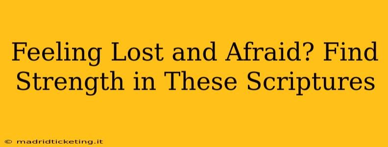 Feeling Lost and Afraid? Find Strength in These Scriptures