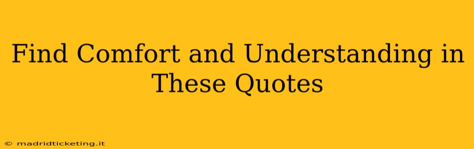 Find Comfort and Understanding in These Quotes