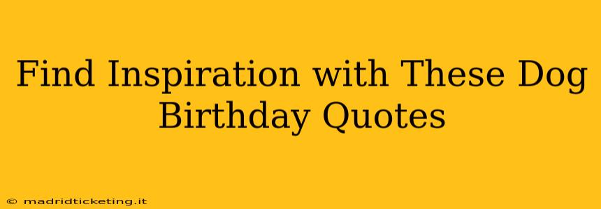 Find Inspiration with These Dog Birthday Quotes