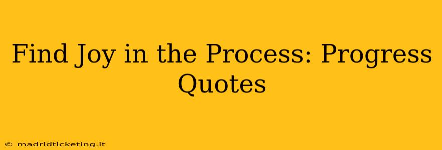 Find Joy in the Process: Progress Quotes