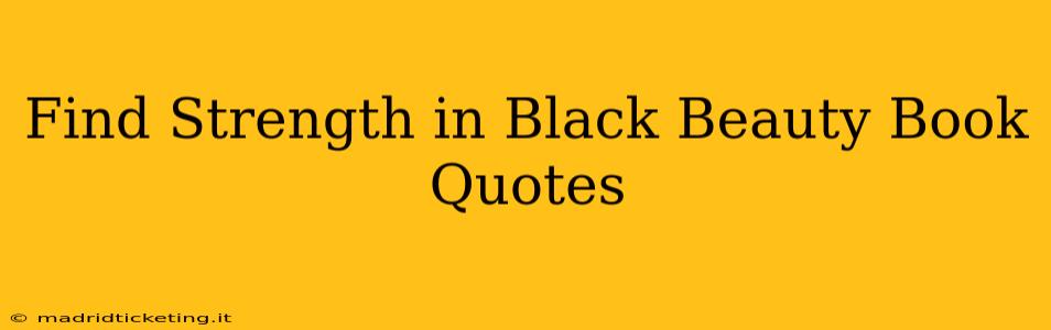 Find Strength in Black Beauty Book Quotes